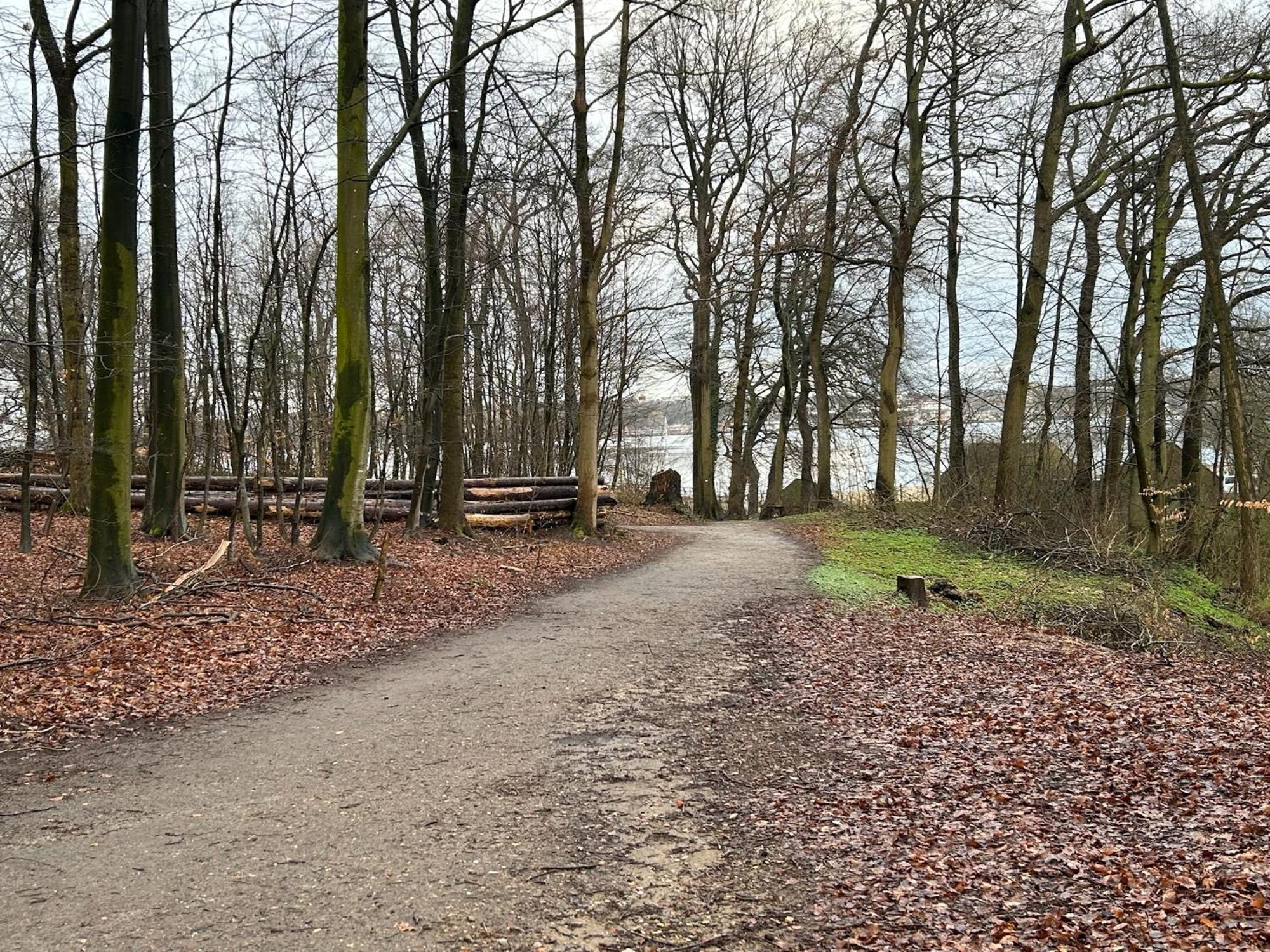 Homestay Privates Ferienzimmer Flensburg, 900 M Zum